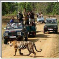 Pin On Jeep Safari Of Corbett