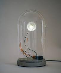 studio drift dandelight met stolp en snoer klevering wanddecoratie zelf maken paardenbloem kunst gordijnen