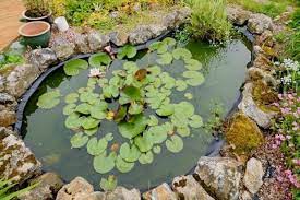 Select from premium pond from above images of the highest quality. How To Hide The Pond Liner Water Garden Advice