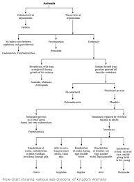 Chapter 13 Diversity Of Life And Classification Frank