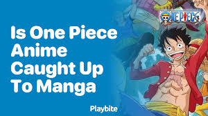 I Recently Caught Up With One Piece, Share Your Feelings Or Experience When  You Caught Up : R/Memepiece