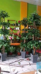 10 tanaman hias cantik yang co di dalam rumah sejuk asri. Paling Bagus 14 Gambar Bunga Hiasan Rumah Koleksi Bunga Hd