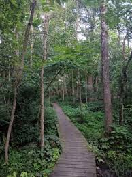 Ice age trail landscape & geology; Ice Age Trail Monches Segment Hiking Trail Merton Wisconsin