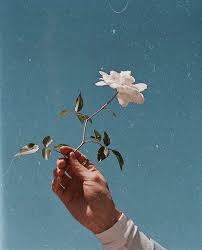 Indie Aesthetic Sky Grunge Flowers Nature Rose Hand Https Weheartit Com Entry 326830287 Light Blue Aesthetic Baby Blue Aesthetic Blue Aesthetic