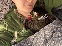 Sophie always puts her little kitty arms around my neck when we cuddle ❤️ :  rtuckedinkitties