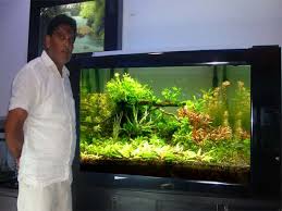 15.5'' h x 45'' w x 26'' d. Coffee Table Aquarium