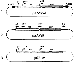 Image result for White 1997 AAV