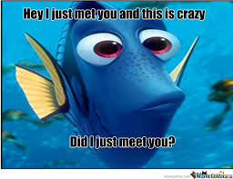 P Sherman 42 Wallaby Way Sydney 42 Wallaby Way Finding Nemo Lol