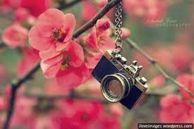 These photos of flowers are so stunning. Cute Flowers Ilove Images