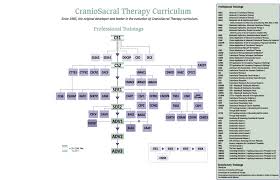 Exhaustive Organizational Chart Of Advanced Physical Therapy