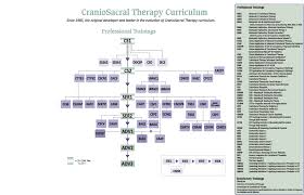 exhaustive organizational chart of advanced physical therapy