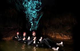 Glow Worms Caves New Zealand Waitomo Glow Warm Caves New Zealand South Island