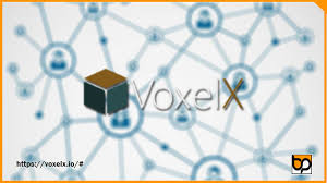 Hasil gambar untuk voxelx bounty