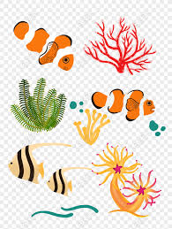 Apa yang dimaksud dengan pola lantai? Percuma Anemone Haiwan Ikan Laut Yang Ditarik Tangan Png Psd Gambar Muat Turun Saiz Imej1024 1369px Id833485478 Lovepik