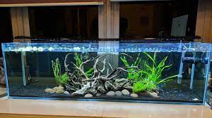 New entries in the database. The 8 Places To Shop For The Best Fish Tanks In Singapore 2021