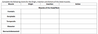 Solved Complete The Following Charts For The Origin Inse