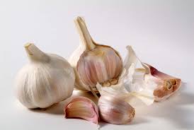 When replacing fresh garlic, the flavor intensity is not the same, so you will need to adjust the measurement. Garlic Plant Britannica