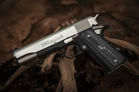 Image result for Dark Gray 1989 Colt