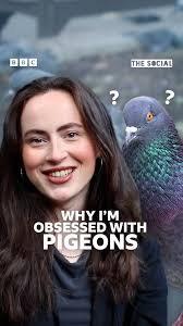 ✨✨pigeonnnnnnnnns✨✨ 🥰😍🥰