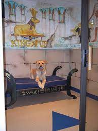 Pin By Rover Oaks Pet Resort On Luxury Suites At Rover Oaks Pet Resort Luxury Dog Kennels Pet Resort Luxury Dog