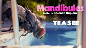 Mandibules est un film réalisé par quentin dupieux avec david marsais, grégoire ludig. Mandibules Official Teaser Trailer 2020 Comedy Fantasy Youtube