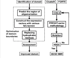 Flow Chart For Optimizing Domain Boundaries By Minimizing