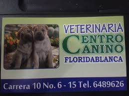 Veterinaria Centro Canino