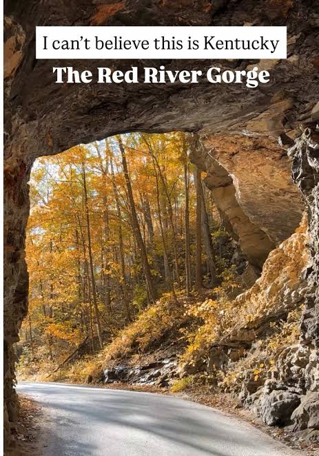Red River Gorge: The Ultimate Fall Weekend Getaway