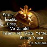 niyeti kotu olan insandan degil niyetinin kotu oldugunu gizleyen insandan kork mevlana rumi sozler anl guzel soz ilham verici sozler ilham veren sozler