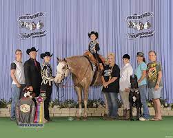 They provide training, coaching, showing and sales of their equine partners for all aqha and apha sanctioned events. Limelite Show Horses