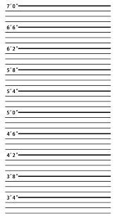 Mugshot Police Lineup Photo Background Backdrop Quality