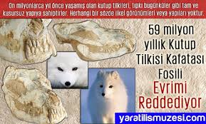 Yaratilis Atlasi Adnan Oktar Atlas Fosil Evrim Yaratilis Arafom Harun Yahya Http Adnanoktar Com Yaratilis Atlasi Fosiller Evrim Kitap
