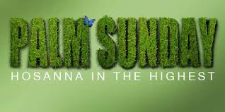 Free for commercial use no attribution required high quality images. Pin On Palm Sunday