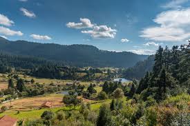 Image result for Marquesia