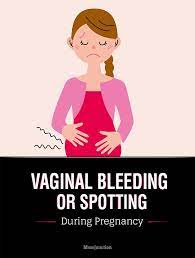 Pin On Pregnancy