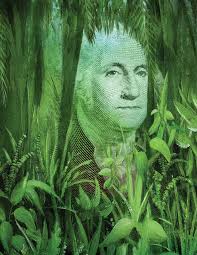 Our Love-Hate Relationship with Monetary Incentives