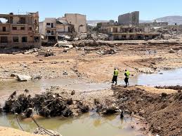 Image result for Euploca katangensis