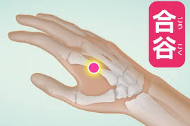 タメして得する簡単なツボ その95 | アルファ医療福祉専門学校｜美容・鍼灸・柔整・保育・介護・福祉の国家資格取得