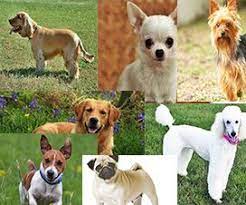 fav sites panosundaki pin