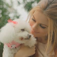 Purina Is Calling All Pet Lovers to Show Off Their Dog's Star Power During  the T