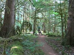 13 reviews of mckenzie river trail we got to hike the koosah falls to sahalie falls with a little one. Mckenzie River Trail Mrt Mountain Bike Trail Mckenzie Bridge Oregon