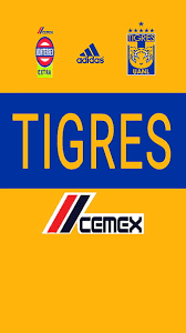 Cas confirmés, mortalité, guérisons, toutes les statistiques Hd Tigres Wallpapers Peakpx