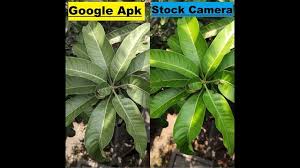 Redmi Note 7 Pro Google Cam Vs Stock Cam This Is Madness Note 7 7 Pro Cool Things To Buy
