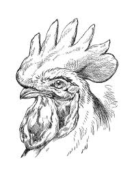 Black And White Illustration Pinterest Pin By Doris Sprouse On Printables Pinterest Rooster Art Chicken Art Rooster