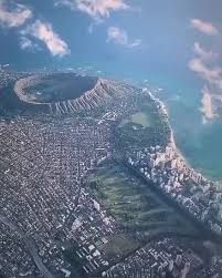 Image result for Alinula peteri