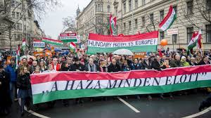 Dagad niedermüller péter rasszista botránya. Levelet Irt A Cof A Papanak Niedermuller Peter Szavai Miatt 24 Hu