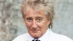 Rod Stewart celebrates son's wedding with all 8 children