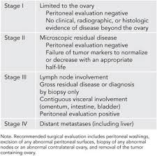 The lower the stage number, the less the cancer has spread. Germ Cell And Sex Cord Stromal Ovarian Cancers Gynecologic Oncology Clinical Practice And Surgical Atlas 1st Ed
