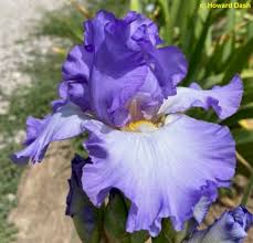 Image result for tbn:K7DUgauEPx5qqM::www.hayah.cc/forum/imgcache/10317.png