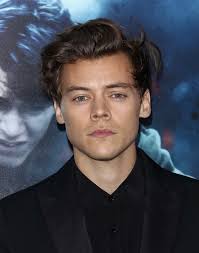 Harry Styles' stalker, 27, back in court after 'flouting restraining order'  banning contact with One Direction star